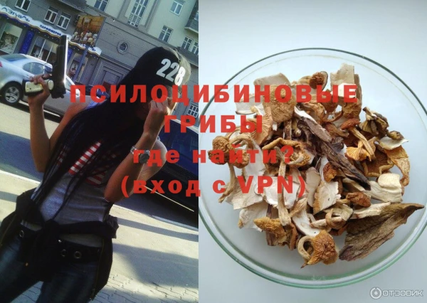 крисы Касимов