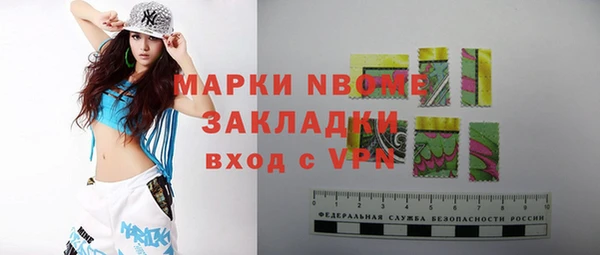ПСИЛОЦИБИНОВЫЕ ГРИБЫ Вязники