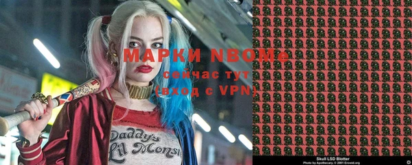 ПСИЛОЦИБИНОВЫЕ ГРИБЫ Вязники