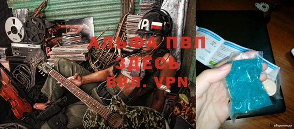 ПСИЛОЦИБИНОВЫЕ ГРИБЫ Вязники