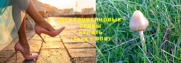 гидропоника Карпинск