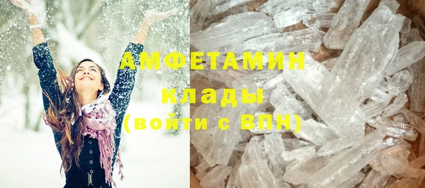 ПСИЛОЦИБИНОВЫЕ ГРИБЫ Вязники