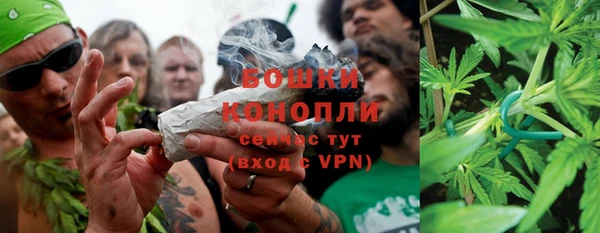 прущая мука Вяземский